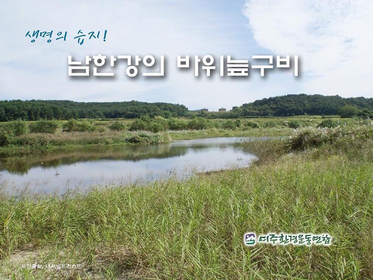 생명의 습지 남한강의 바위늪구비 PPT