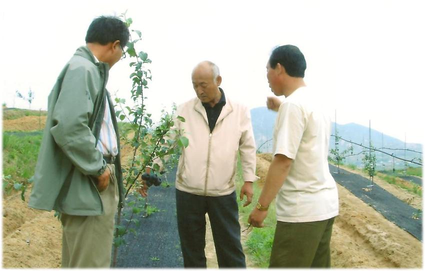 공동경작사업 방문 사진