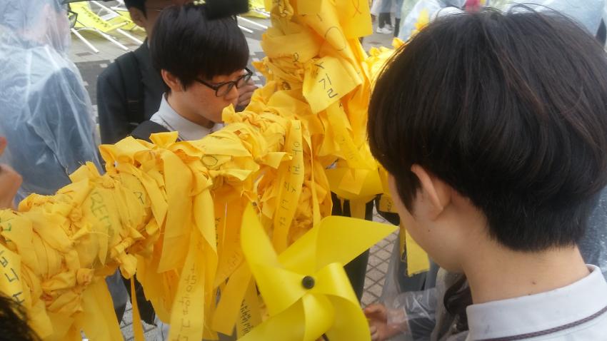 2016 사랑해 그리고 기억해 사진