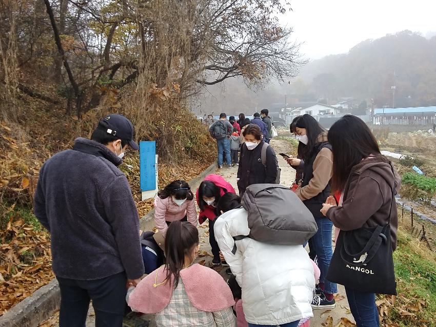 밤일마을 숲이야기 사진