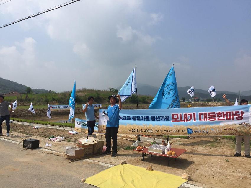 전농교류 통일기원 풍년기원 모내기 대동한마당 사진 